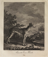 KG 01073
          <br/>
          Entwurf einiger Thiere. Erster Theil. (18 bladen)
          <br/>
          <em>Ridinger, Johann Elias (1698-1767)</em>